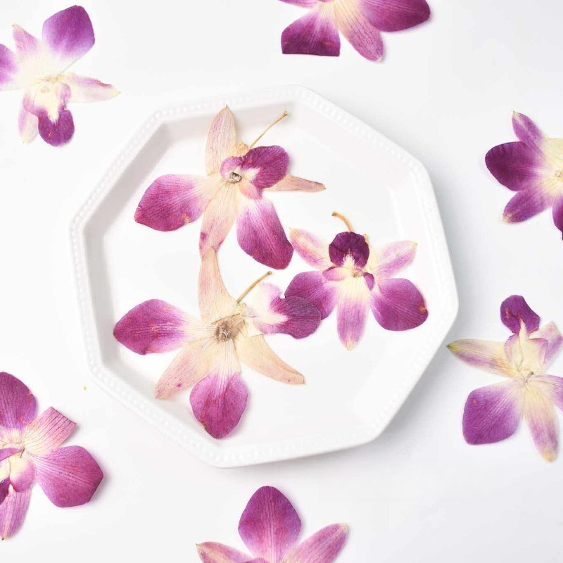 Resin Art Photo Frame - 4 szt., Prawdziwe, prasowane kwiaty orchidei