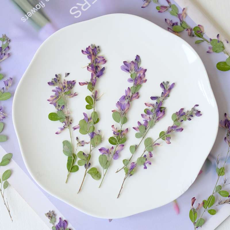 6 sztuk, naturalne suszone i p – Resin Art Photo Frame recenzja i cena